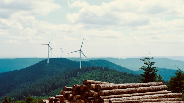 Generative AI for Sustainability Reporting